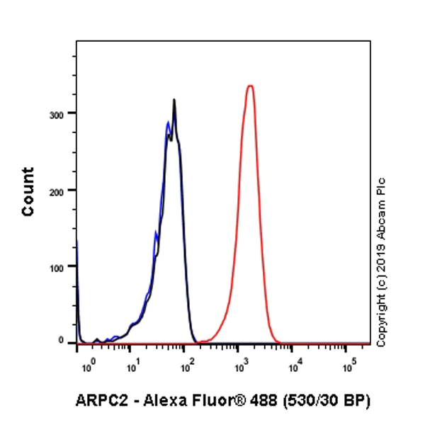 Flow Cytometry (Intracellular) - Anti-ARPC2 antibody [EPR8533] (AB133315)