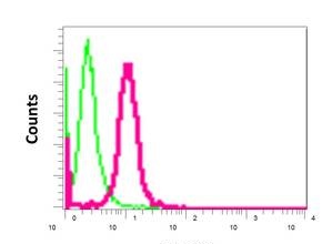 Flow Cytometry (Intracellular) - Anti-ARPC5L antibody [EPR10274] (AB169763), expandable thumbnail