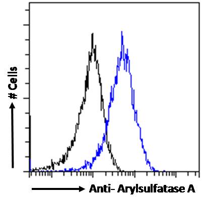 Flow Cytometry (Intracellular) - Anti-ARSA/ASA antibody (AB77586)