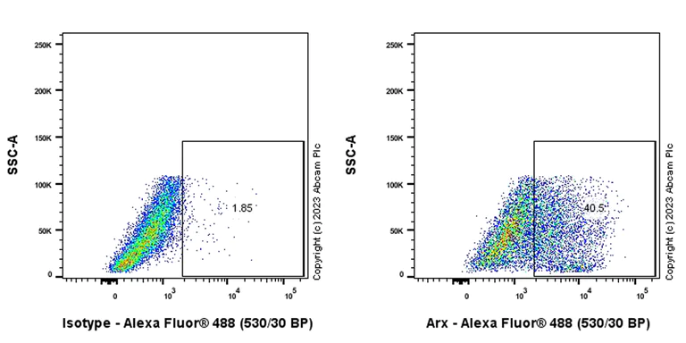 Flow Cytometry (Intracellular) - Anti-Arx antibody [EPR27481-32] (AB308260)