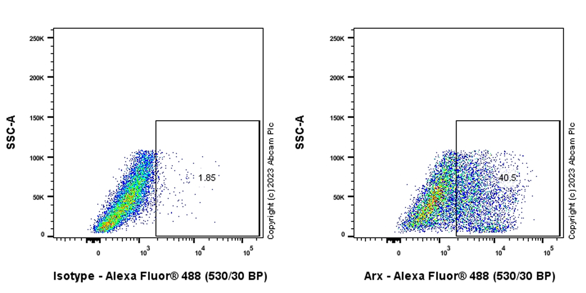 Flow Cytometry (Intracellular) - Anti-Arx antibody [EPR27481-32] - BSA and Azide free (AB308261), expandable thumbnail
