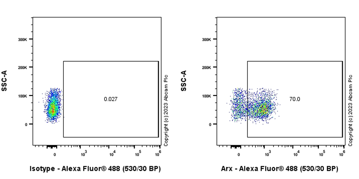 Flow Cytometry (Intracellular) - Anti-Arx antibody [EPR27481-32] - BSA and Azide free (AB308261), expandable thumbnail