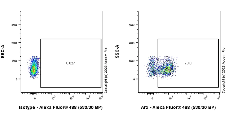 Flow Cytometry (Intracellular) - Anti-Arx antibody [EPR27481-32] - BSA and Azide free (AB308261)