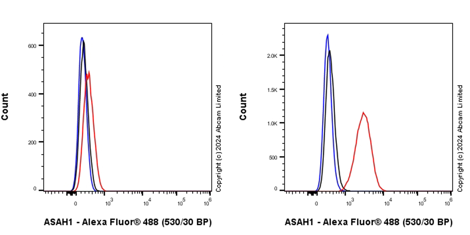 Flow Cytometry (Intracellular) - Anti-ASAH1 antibody [MJF-D29767-517] (AB322109), expandable thumbnail