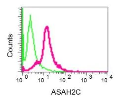 Flow Cytometry (Intracellular) - Anti-ASAH2B antibody [EPR10539] - BSA and Azide free (AB249617)
