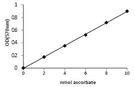 Functional Studies - Ascorbic Acid Assay Kit (AB65346)