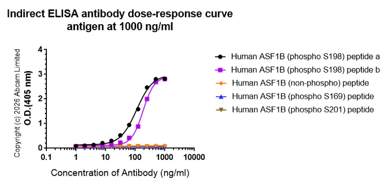 Indirect ELISA - Anti-ASF1B (phospho S198) antibody [EPR28822-77] (AB325649)