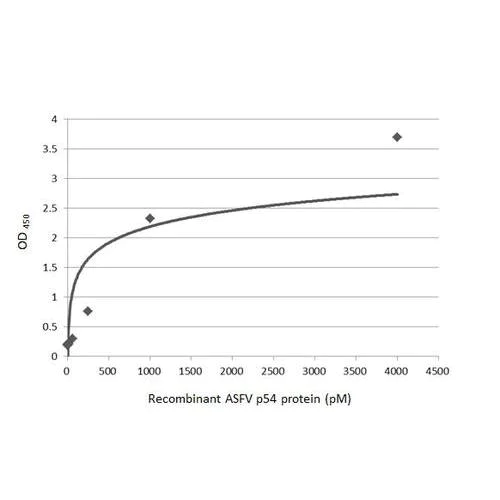 ELISA - Anti-ASFV p54 antibody [HL1289] (AB317085)