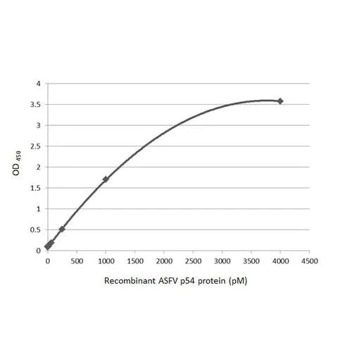 ELISA - Anti-ASFV p54 antibody [HL1289] (AB317085)