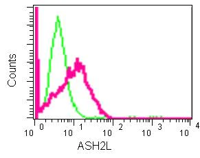Flow Cytometry (Intracellular) - Anti-ASH2L antibody [EPR13106] - BSA and Azide free (AB250358)