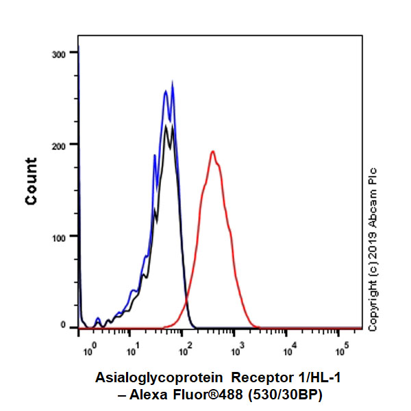 Flow Cytometry - Anti-Asialoglycoprotein Receptor 1/HL-1 antibody [EPR22642-17] - BSA and Azide free (AB256509), expandable thumbnail