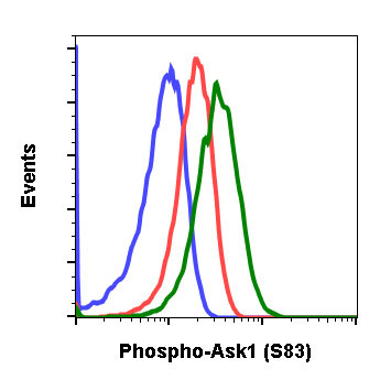 Flow Cytometry - Anti-ASK1 (phospho S83) antibody [Ask1S83-G4] (AB278547), expandable thumbnail