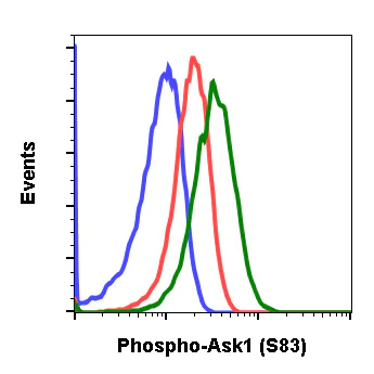 Flow Cytometry - Anti-ASK1 (phospho S83) antibody [Ask1S83-G4] (AB278547)