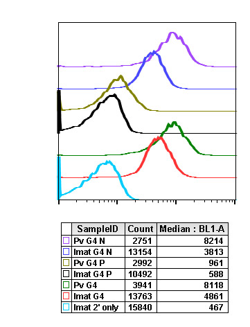 Flow Cytometry - Anti-ASK1 (phospho S83) antibody [Ask1S83-G4] (AB278547), expandable thumbnail