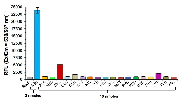 Functional Studies - Asparagine Assay Kit (Fluorometric) (AB273333)