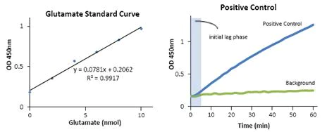 Functional Studies - Aspartate Aminotransferase Activity Assay Kit (AB105135)
