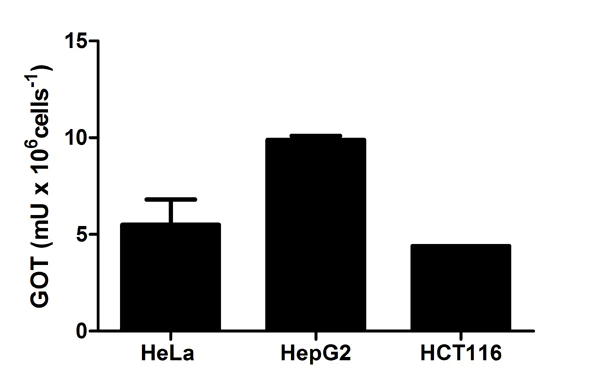 Functional Studies - Aspartate Aminotransferase Activity Assay Kit (AB105135)