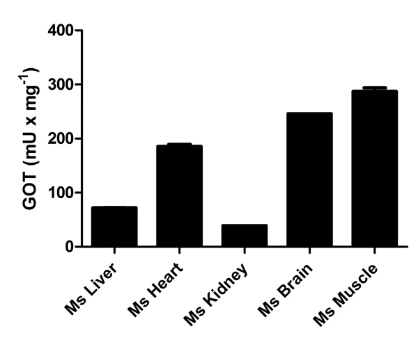Functional Studies - Aspartate Aminotransferase Activity Assay Kit (AB105135)
