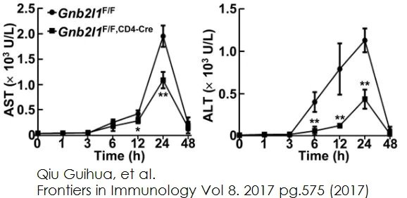 Functional Studies - Aspartate Aminotransferase Activity Assay Kit (AB105135)