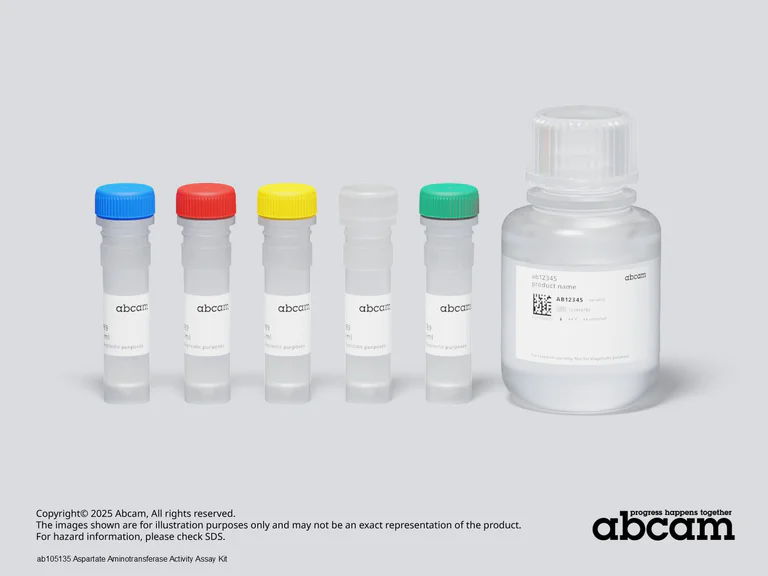 Schematic Diagram - Aspartate Aminotransferase Activity Assay Kit (AB105135)