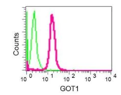 Flow Cytometry (Intracellular) - Anti-Aspartate Aminotransferase + FABP-1 antibody [EPR12145] (AB170950)