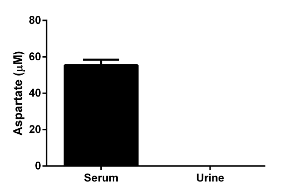 Functional Studies - Aspartate Assay Kit (AB102512)