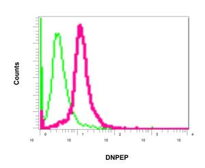 Flow Cytometry (Intracellular) - Anti-Aspartyl Aminopeptidase antibody [EPR10301] (AB154805)