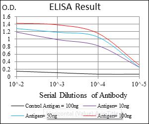 ELISA - Anti-ASS1 antibody [2B10] (AB124465), expandable thumbnail