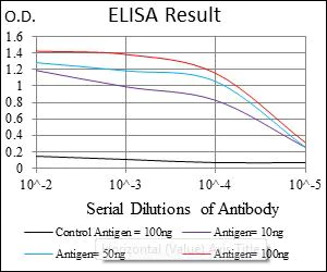 ELISA - Anti-ASS1 antibody [2B10] (AB124465)