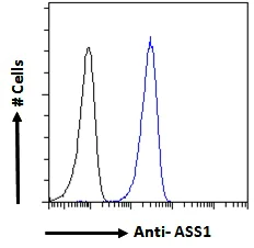 Flow Cytometry (Intracellular) - Anti-ASS1 antibody (AB77590)