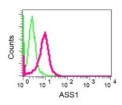 Flow Cytometry (Intracellular) - Anti-ASS1 antibody [EPR12398] (ab170952), expandable thumbnail
