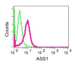 Flow Cytometry (Intracellular) - Anti-ASS1 antibody [EPR12398] - BSA and Azide free (AB231684)