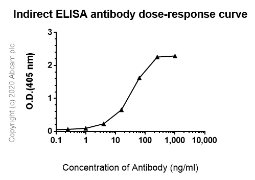 Indirect ELISA - Anti-Ataxin 3 antibody [EPR22418-147] - BSA and Azide free (AB255865)