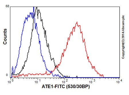 Flow Cytometry (Intracellular) - Anti-ATE1 antibody [EPR13667(2)] - BSA and Azide free (AB232619), expandable thumbnail