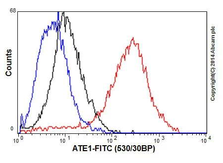 Flow Cytometry (Intracellular) - Anti-ATE1 antibody [EPR13667(2)] - N-terminal (AB199423)