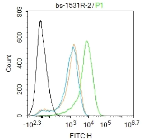 Flow Cytometry (Intracellular) - Anti-ATF-4 antibody (AB216839)