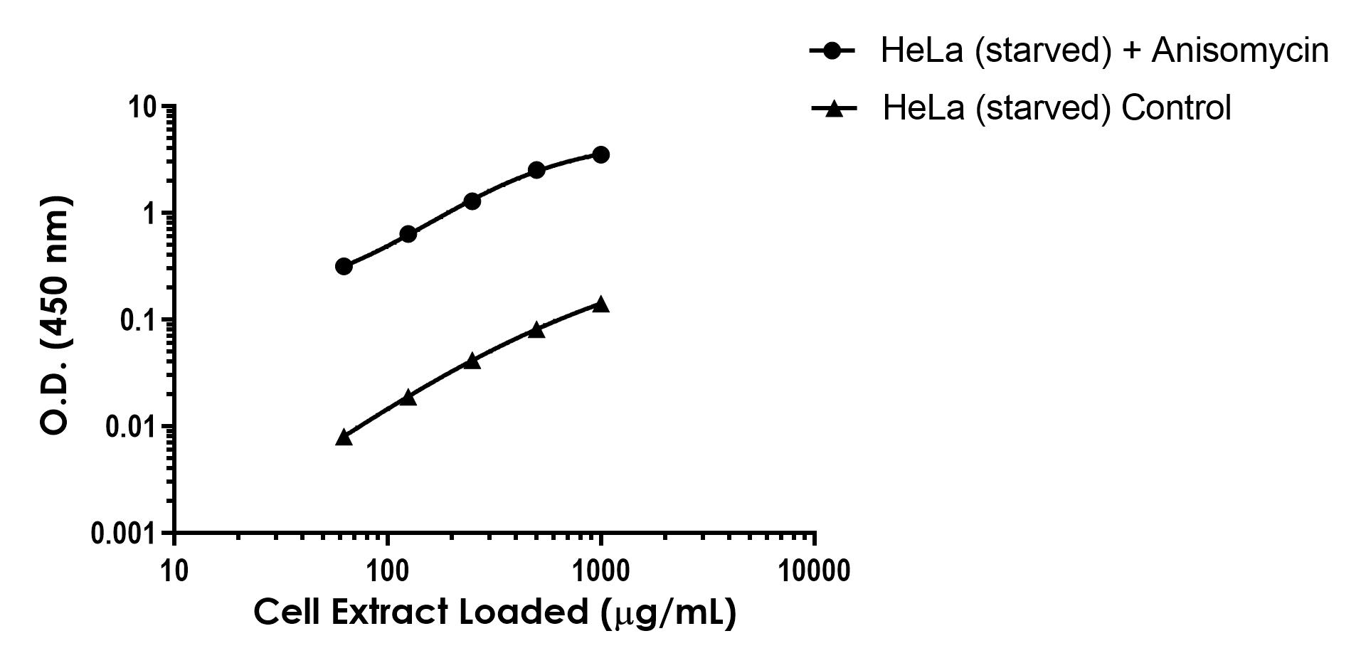 Sandwich ELISA - Anti-ATF2 antibody [EPR22938-114] - BSA and Azide free (Capture) (AB308569), expandable thumbnail