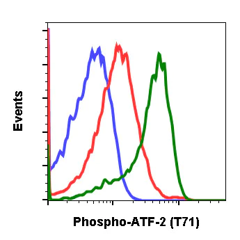 Flow Cytometry - Anti-ATF2 (phospho T71) antibody [ATF2T71-G3] (AB278689)