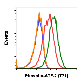Flow Cytometry - Anti-ATF2 (phospho T71) antibody [ATF2T71-G3] (AB278689)