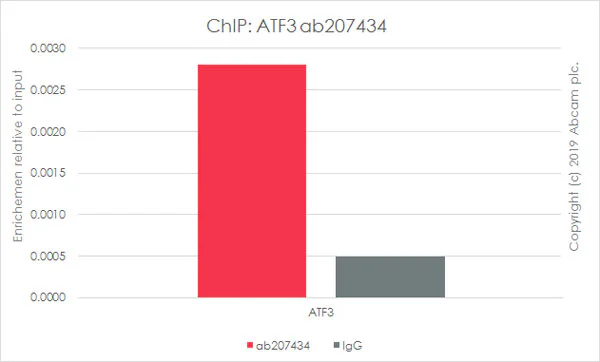 ChIP - Anti-ATF3 antibody [EPR19488] - BSA and Azide free (AB232375)