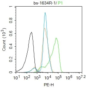 Flow Cytometry (Intracellular) - Anti-ATF6 antibody (AB203119)