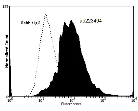 Flow Cytometry (Intracellular) - Anti-ATG12 antibody - N-terminal (AB228494)