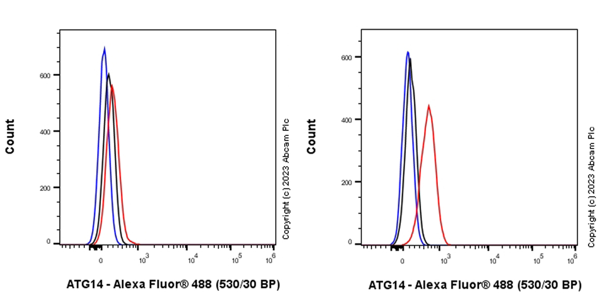 Flow Cytometry (Intracellular) - Anti-ATG14 antibody [EPR26188-66] - BSA and Azide free (AB315010), expandable thumbnail