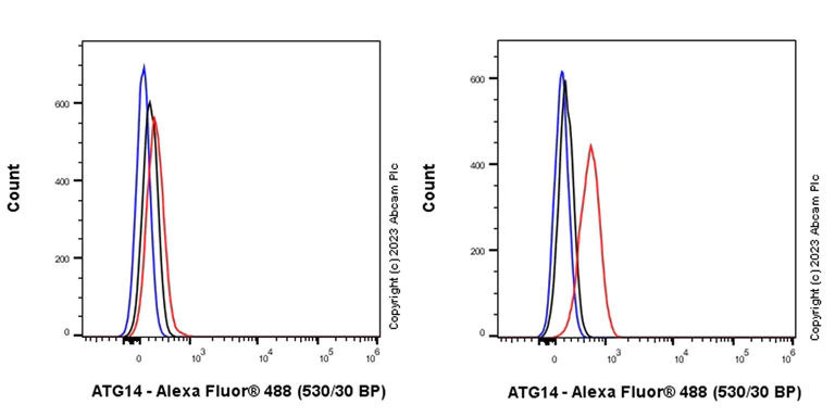 Flow Cytometry (Intracellular) - Anti-ATG14 antibody [EPR26188-66] - BSA and Azide free (AB315010)
