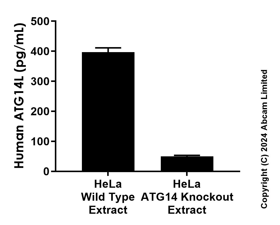 Sandwich ELISA - Anti-ATG14L antibody [EPR28551-51] - BSA and Azide free (Detector) (AB322649), expandable thumbnail
