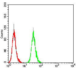 Flow Cytometry - Anti-ATG16L1 antibody [5H9A11] (AB233796)