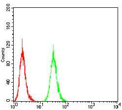 Flow Cytometry - Anti-ATG16L1 antibody [5H9A11] (AB233796)