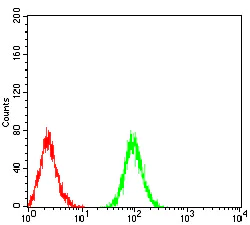 Flow Cytometry - Anti-ATG3 antibody [2C10A12] (AB233562)