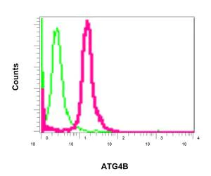 Flow Cytometry (Intracellular) - Anti-ATG4B antibody [EPR6436(2)] (AB154843)
