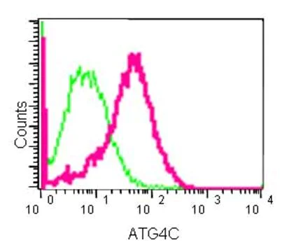 Flow Cytometry (Intracellular) - Anti-ATG4C antibody [EPR15001] (AB183516)